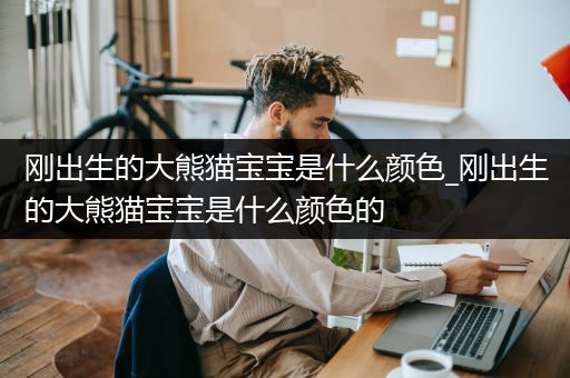 刚出生的大熊猫宝宝是什么颜色_刚出生的大熊猫宝宝是什么颜色的